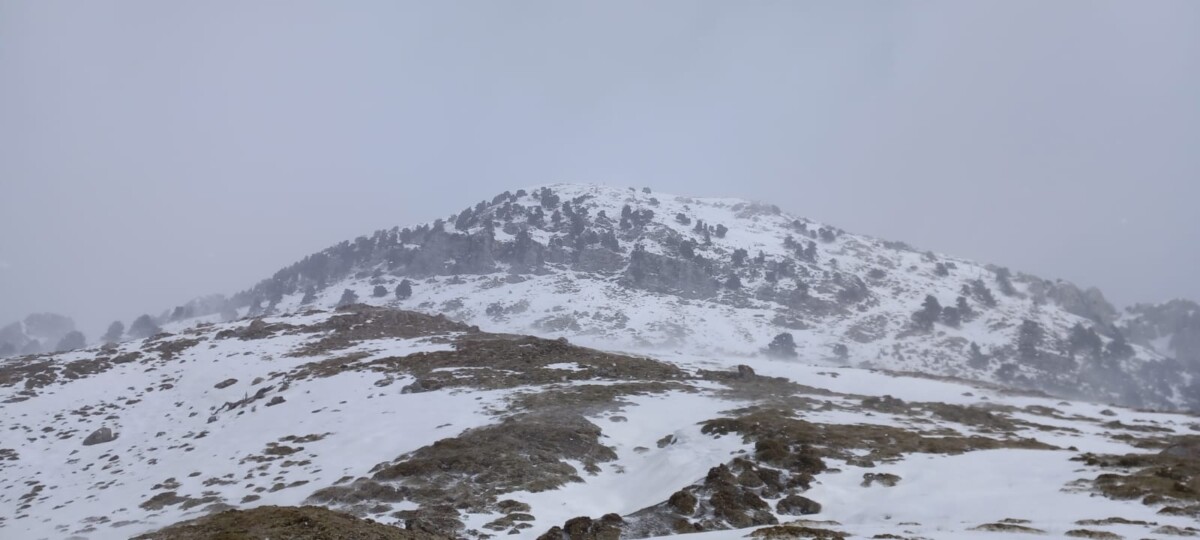 b663a3f5-7f34-4ae2-bf3d-9e9e43978af9