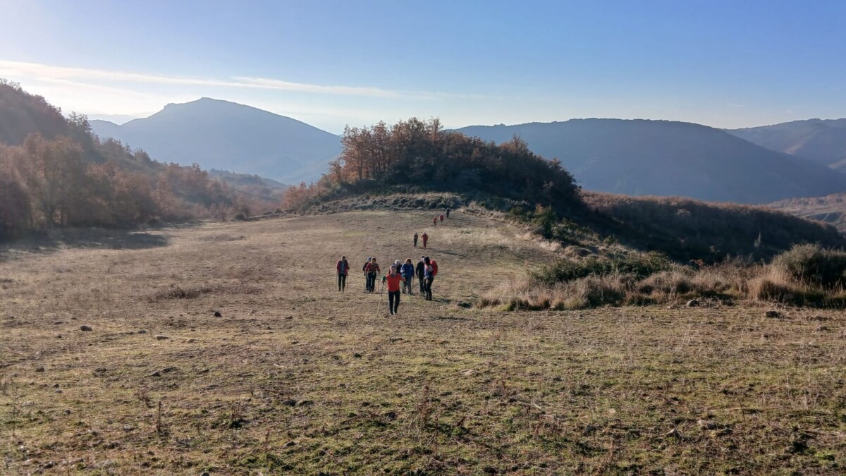 IMG-20251213-WA0095